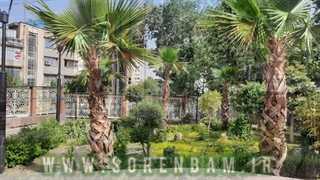 محوطه سازی و کاشت گل و گیاه (پروژه بیمارستان شهدای تجریش)