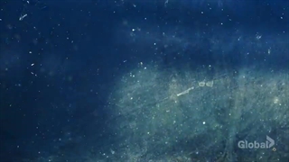 سریال S.W.A.T. 19