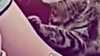 من میرم پیشی میشم