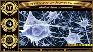 مغز انسان، توانایی‌ها و محدودیت‌ها – 26 نکته ی کلیدی، در مورد مغز...(1/5)