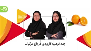 چند توصیه کاربردی باغ مرکبات