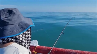 صید ماهی سفید خزری با قلاب از روی قایق