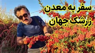 سفر به شهر زرشک ایران