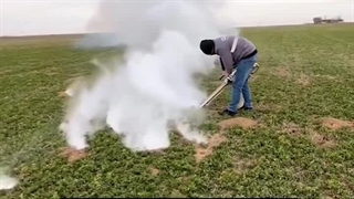 راه مبارزه با موش در زمینهای کشاورزی و زراعی