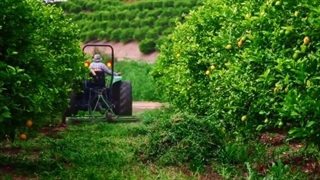 نماهنگ جهش تولید - کاری از گروه سرود سراج المنیر یزد - تفت