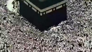 استوری / ریلز | عید قربان