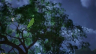 انیمه حشره طلایی The Golden Wug (Jin Can Wangshi) قسمت 1