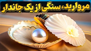 دریا، صدف و سنگ گران بهای مروارید | روز جهانی صدف دریایی