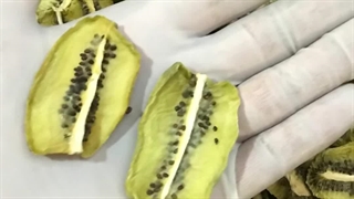 دستگاه خشک کن و حبه ساز میوه