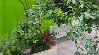 توضیحات محمد محبوبی (مدیر کمپیتال) راجع به کمپ + محیط مرکز