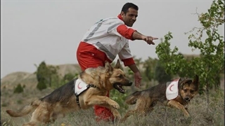 زلزله 5 ریشتری در کاشمر / اعزام 15 تیم عملیاتى و سگ هاى جستجو و نجات به کاشمر