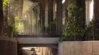 زیباترین خوابی که دیدیم)))