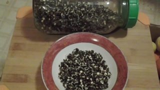 ماش سیاه چیست؟