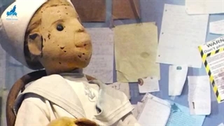 ☔️افشای راز عجیب وحشتناک ترین عروسک جهان !!!