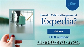 "How do I Talk to a live person at Expedia? "
