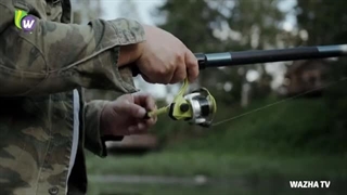 شوکه شدن ماهیگیرها از دیدن آن چه در داخل بدن گربه ماهی بود