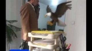 دفتر هماهنگی اکادمی