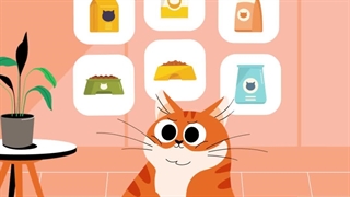 خرید غذای گربه از پت شاپ حامی پت