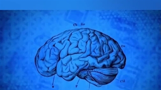 اعتیاد یا وابستگی به مواد چیست؟