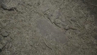 В этом заброшенном доме, САМЫЙ ОПАСНЫЙ ПОЛТЕРГЕЙСТ