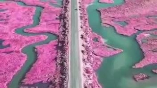 گذرگاهها و جادههای زیبای جهان