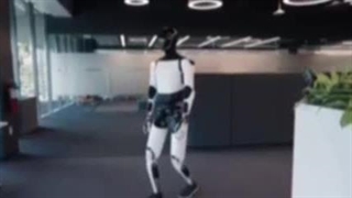 کار کردن ربات های انسان‌ نما اپتیموس در تسلا