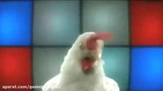 اهنگ مرغی