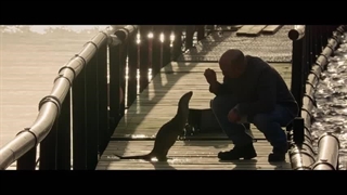 مستند بیلی و مولی Billy and Molly: An Otter Love Story 2024 (کلیک فایلز)