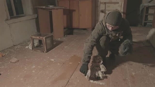 من شیطان را آزاد کردم