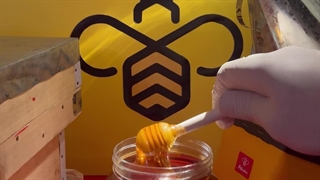 عسل زول یا بوقناق بهترین عسل دیابتی