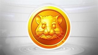 دو برابر کردن پروفیت با توربو ، فعال سازی توربو همستر کامبت