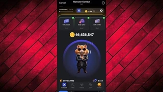 سه تا کارت امروز همستر جمعه 8 تیر | 5 میلیون سکه همستر