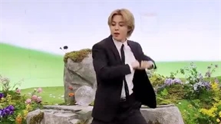 آپدیت تیک تاک بی تی اس با چالشSmeraldo(ft. Loco)Garden marching band