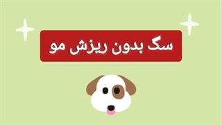 سگهای بدون ریزش مو - کدام نژاد سگ ریزش مو ندارد ؟ سگ هیربدی - سگ آپارتمانی