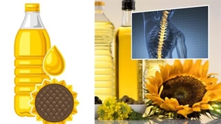 مراقب این ۹ مواد غذایی مضر برای جلوگیری و درمان آرتروز و درد استخوان باشید