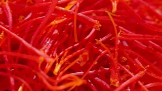 خشک کردن زعفران یکی از مراحل مهم در کیفیت و ماندگاری زعفران