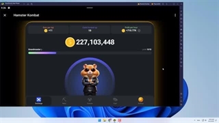 کسب درآمد دلاری از بات تلگرامی همستر کامبت! چه طور تبدیل به تومن میشه؟! Hamster Kombat!