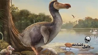 سریعترین انقراض تاریخ و موجودی که ناگهان ناپدید شد