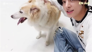 هپی‌ جیک‌ لاگ "یه روز خاص همراه با لیلا" جیک با زیرنویس‌ فارسی