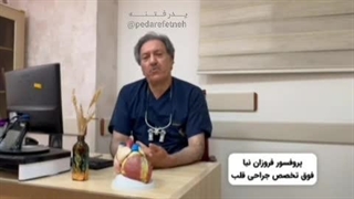 پروفسور فروزان نیا از دلیل حمایتش از جلیلی میگه