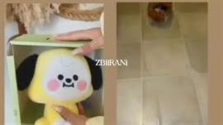 از جمله تفاوتای فندوم استی و آرمی