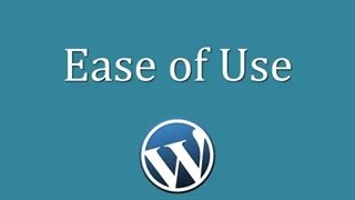 چرا از وردپرس برای ساخت وب سایت خود استفاده کنید؟