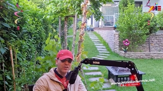 مهاجرت به آلمان با سرمایه کم!!آلمان شرکت ثبت کن،اقامت بگیر!!موسسه ملکپور