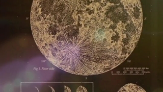 تا آخر ماه صفر فعالیت نمیکنم