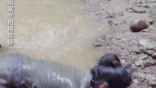 قدرت بازیگری/ژانگ رویون/بازیگری واقعا سخته ها