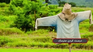 این جوری از شر پرنده های مزاحم باغ راحت شو | روز جهانی ساخت مترسک!