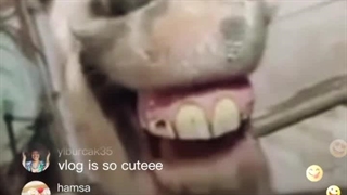 امشب شب غم نیس هیچ خری مثل این خر نیست!^_^