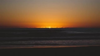 آهنگ حیوانات از Maroon 5 - Animals (Lyrics)