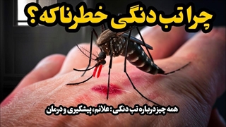 تب دنگی چیست؟