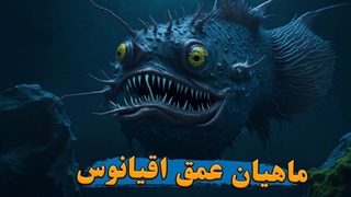 چرا ماهیان اعماق اقیانوس شبیه فضایی ها هستند؟